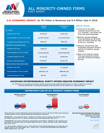 All Minority Owned Firms