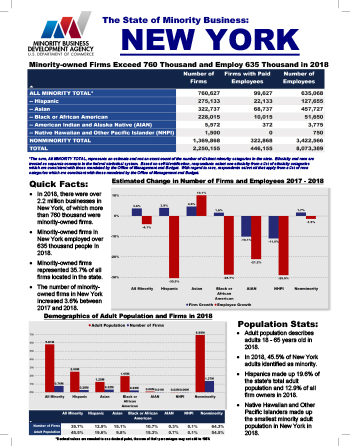 New York Fact Sheet Thumbnail