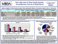NHPI-Owned Business