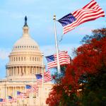 U.S. Capitol in WDC