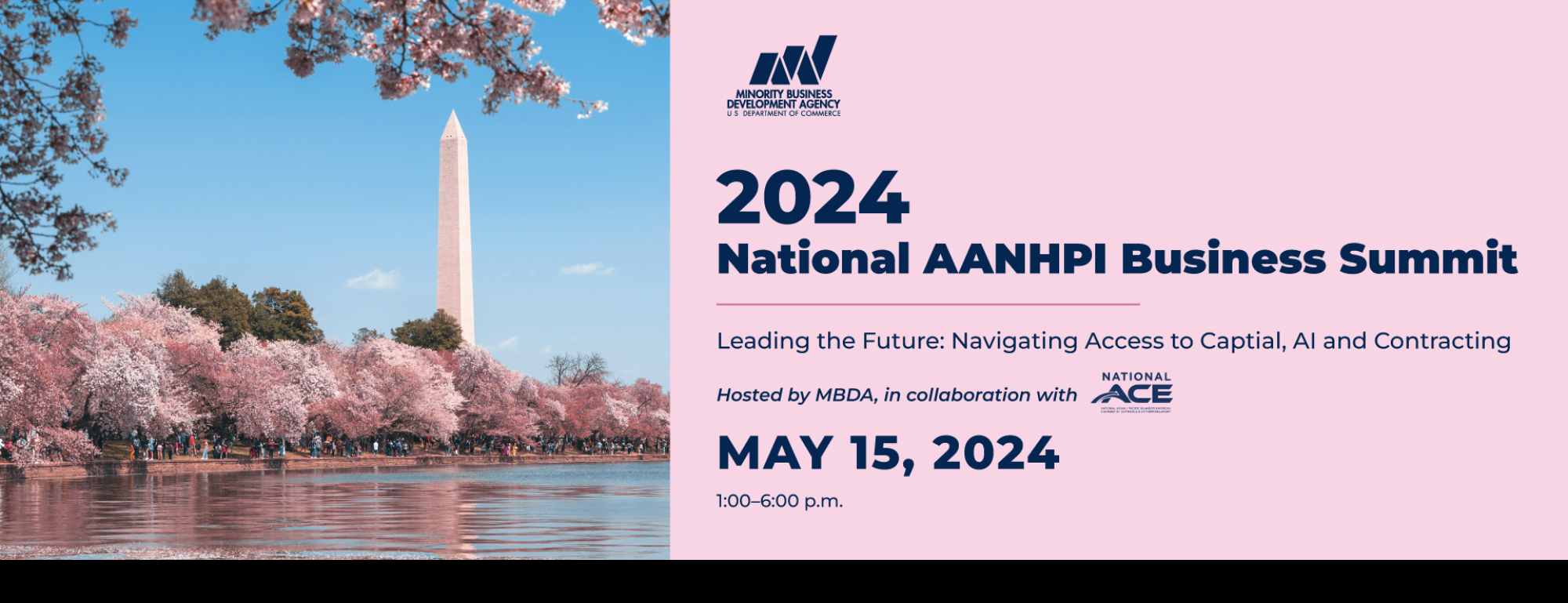 2024 National AANHPI Business Summit